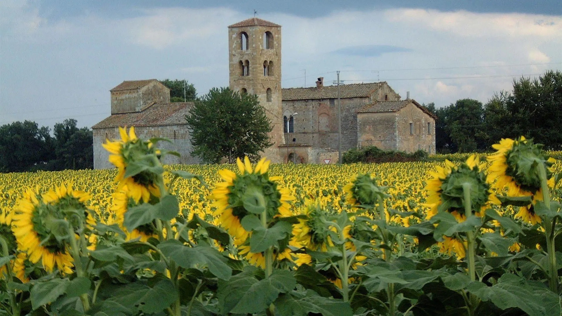 ****  Castello Di Sovicille - Residenza D'Epoca Bed & Breakfast Italy